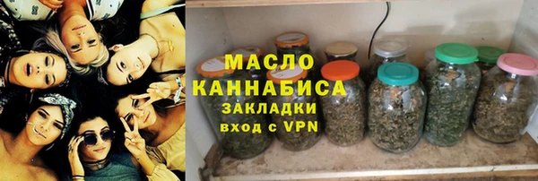 гидра Саяногорск