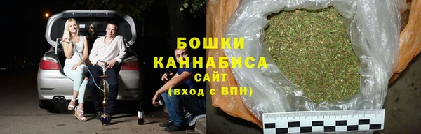 гидра Саяногорск
