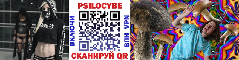 Псилоцибиновые грибы GOLDEN TEACHER  магазин продажи наркотиков  omg   Судак 